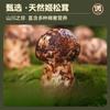 Mcfoody Comida Enlatada para Gato Mascota Agaricus Carne Atún Estofado Pollo Hidratante Bibimbap Nutricional Comida Húmeda para Gato