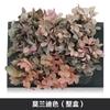 Hortensia de madera con degradado de color, flor eterna, rosa eterna, caja de regalo, material floral, flor seca, flor de preservación, material floral eterno