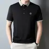 Camiseta de Manga Corta de Verano para Hombre Joven, Holgada, Informal, Camisa Polo de Solapa para Hombre, Camiseta Básica de Media Manga para Comercio Exterior