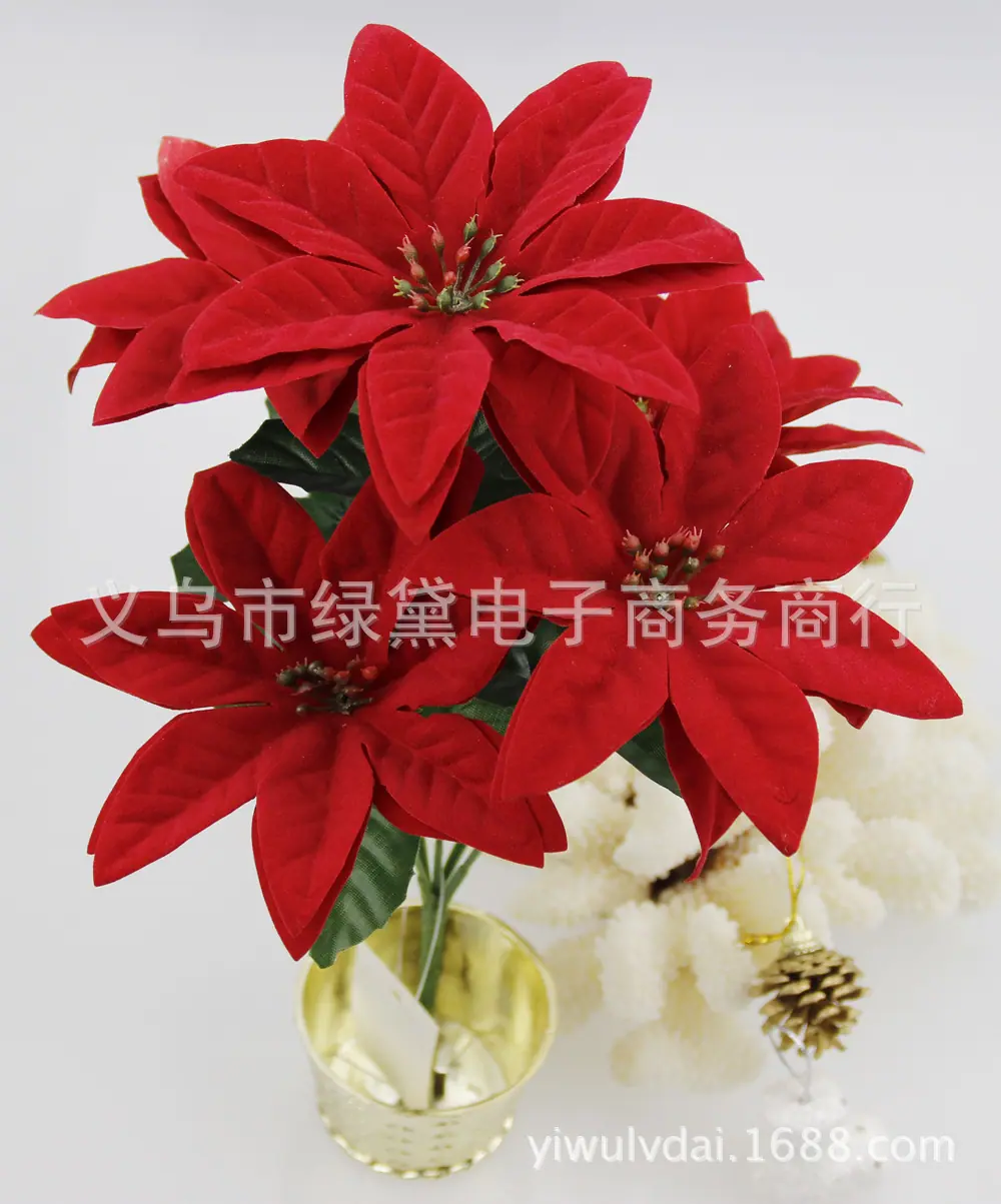 圣诞花