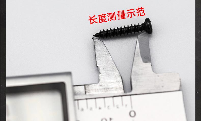 304不锈钢PB十字圆头平尾自攻螺丝_03_20.jpg