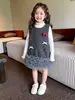 Conjunto de Duas Peças Estilo Coreano para Meninas - Primavera e Outono 2026: Conjunto de Camiseta Base de Tricô com Babados e Vestido de Tricô de Lã para Bebê