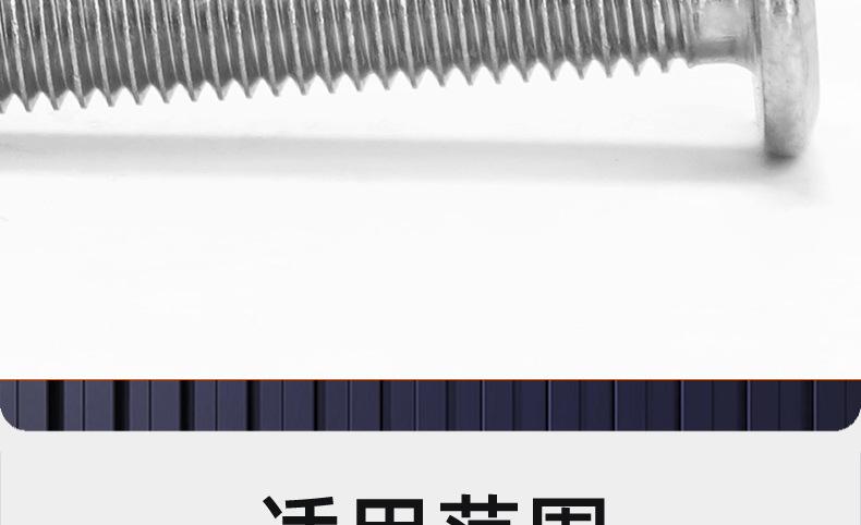 201不锈钢倒边十字螺丝_03_20.jpg