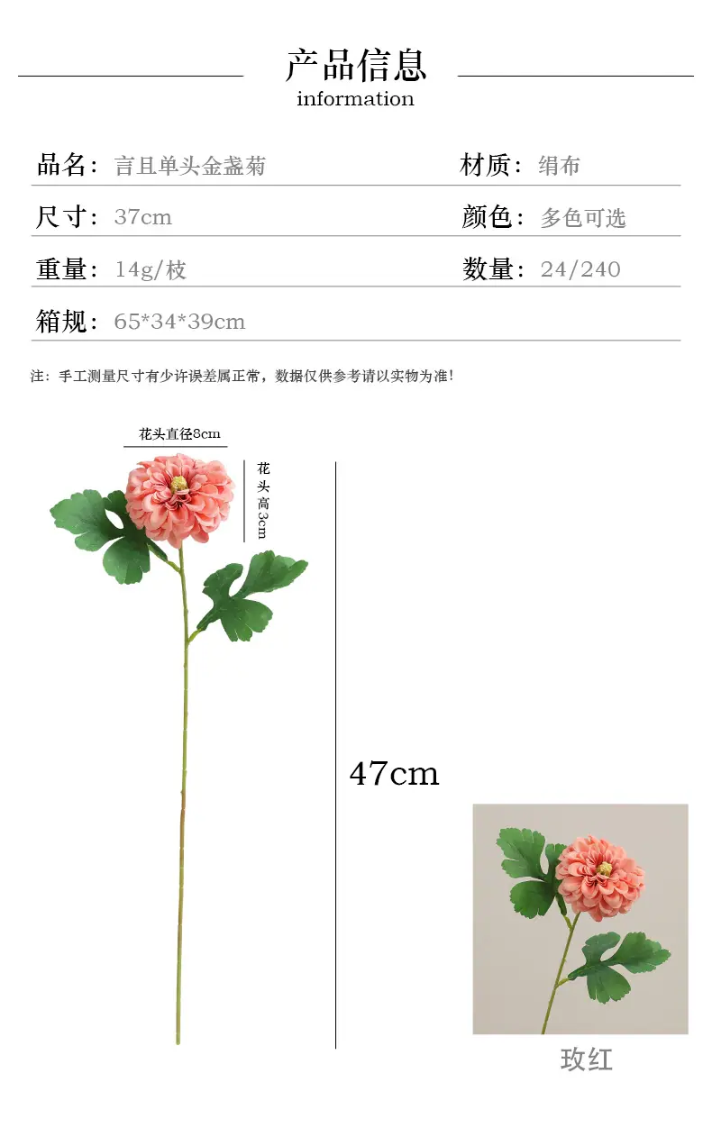 言且单头金盏菊_03.jpg