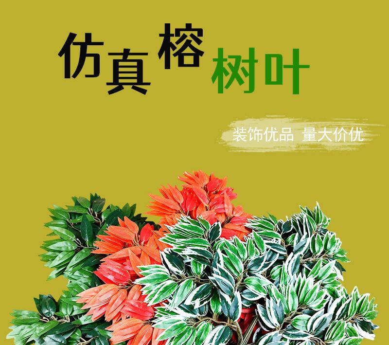 详情1.jpg