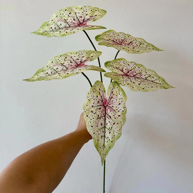 5叉3D打印芋叶-白粉芯绿边.jpg