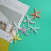 Venta caliente lentejuelas estrella de mar resina accesorios de joyería accesorios para el cabello funda de teléfono móvil bolsa juguete pegamento cremoso zapatos flor material diy lote