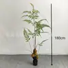 Cabeza de mono artificial Helecho cola de caballo girasol bonsái árbol de helecho artificial planta verde planta de interior para el hogar decoración de paisaje bonsái al por mayor