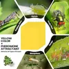 Amazon Tablero Adhesivo para Insectos Amarillo Adhesivo para Insectos Amarillo Tablero de Doble Cara Trampa para Moscas Tablero para Moscas de la Fruta Tablero Trampa para Insectos Venta al por Mayor Personalizado Adhesivo Mosquito
