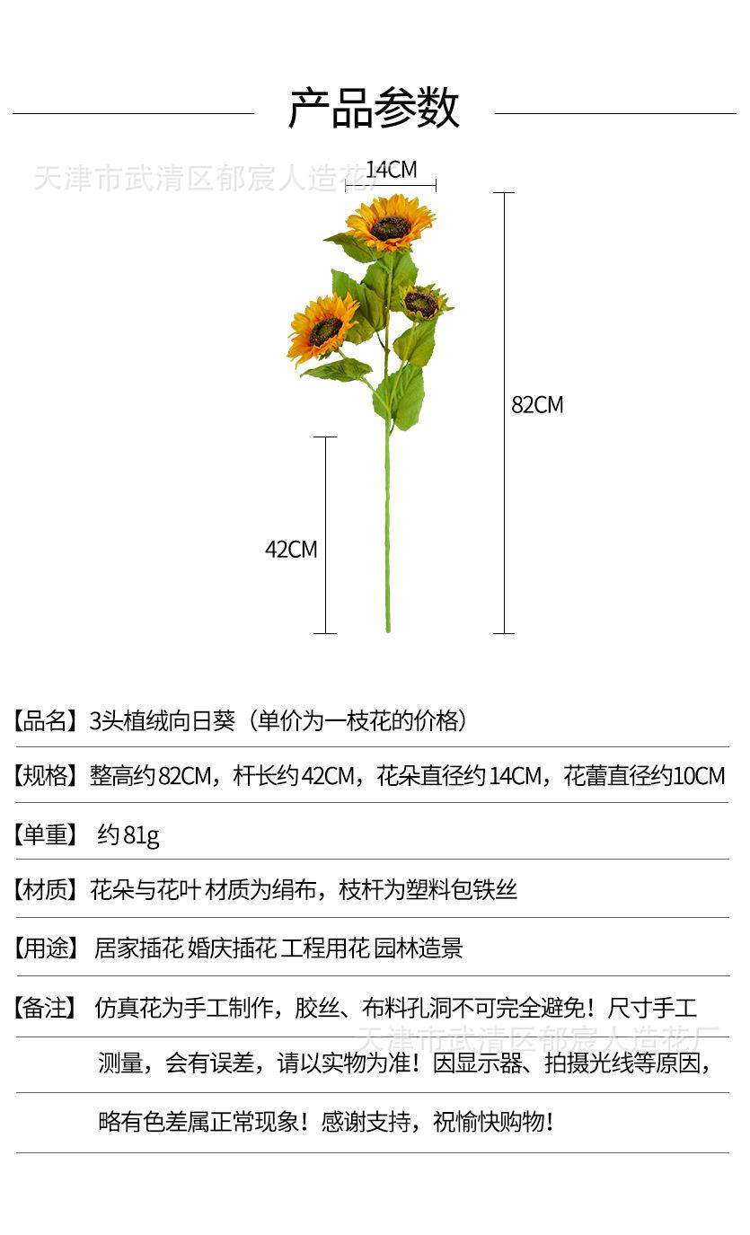 详情_01.jpg