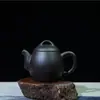 Tetera Zhu Ni de Chaozhou, tetera mini de arcilla púrpura, tetera miniatura de bolsillo, tetera pequeña, tetera pequeña, tetera de taza