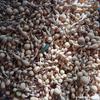 Base de Cultivo de Liaocheng Mayoreo Calabazas Pequeñas, Calabazas Retorcidas a Mano, Artesanías de Calabaza, Calabazas Pequeñas