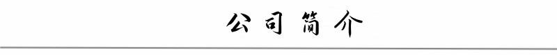 公司简介