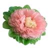 Conjunto Arco-Íris de Carnaval Três Cores Multicamadas com Folha Verde Flor Rosa Pink Conjunto 9 Peças Multimodelos com Deslumbrante