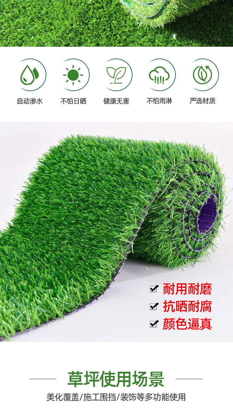 草坪网_02.jpg