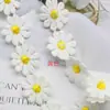 Margarida 10-pétalas solúvel em água bordado laço DIY acessórios de vestuário pequena flor leite seda renda-solúvel em água