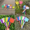 Planta Enchufe Enchufe Enchufe Enchufe Enchufe Enchufe Enchufe Maceta Enchufe Enchufe Enchufe Enchufe Enchufe Enchufe Fábrica Directa Venta al Por Mayor Soporte de Jardinería