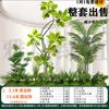 Gran simulación de diseño combinado de paisaje verde interior plantas verdes falsas biónicas avanzadas debajo de las escaleras adornos de árboles decorativos