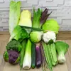 Adereços de vegetais de simulação modelo de vegetal de simulação folhas de alface falsas brócolis repolho adereços de supermercado frutas e vegetais crianças