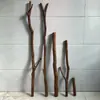 Estilo Nórdico Estilo Floresta de Madeira Morta Galhos Divisor Loja de Roupas Varões Suspensos Janela Pousada Suporte para Dossel de Cama Dy Super Valor