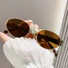 Óculos de Sol da Moda Europeia Americana de Verão Óculos de Sol de Celebridade da Internet Óculos de Sol Ovais Engraçados Unissex Tendência Personalidade