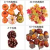 DIY Frutas Artesanais 30 Tipos de 150 Frutas Naturais Bolotas Pinhas Jardim de Infância Inovação Ambiental Pacote de Materiais Adereços para Fotos