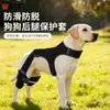 Rodilleras para Perro Cubierta Protectora para Lesiones Equipo Protector Fijo para Fractura de Pata de Perro Cinturón Auxiliar con Soporte para Pata Delantera y Trasera de Mascota