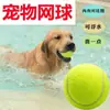 Juguete para Mascotas Tenis Perro Molar Rebote Pelota Elástica Entrenamiento al Aire Libre Pelota Interactiva Cachorro Aliviar Aburrimiento