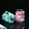 Taza de Flores Secas con Forma de Nube Venta al por Mayor Transfronteriza, Taza de Beber Creativa en Espiral de Alta Estética, Taza de Doble Pared de Vidrio de Borosilicato con Flores Reales