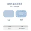 Mismo modelo de Sam de fundas de almohada pequeñas clase A de piel de hielo, fundas de almohada de seda de hielo al tacto fresco, juego de dos, cubierta interior de espuma viscoelástica de verano