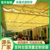 Cortina de Toldo Plegable Guardería Patio de Juegos Parasol Exterior Carretera Terraza Piscina Cortina de Sol Eléctrica Retráctil
