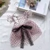 Ropa para Mascotas, Vestido de Encaje de Lunares para Perro, Vestido de Princesa Transpirable con Protección Solar, Ropa para Gatos, Lindo y Dulce