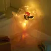 Día de San Valentín confesión Rosa LED bola de onda Red de puesto de globos bouquet de red bola de onda luminosa al por mayor