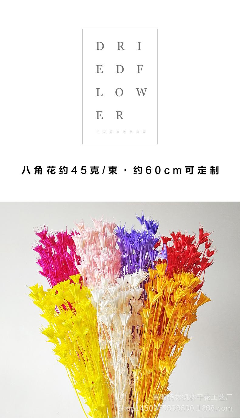 八角花_01.jpg