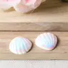 Bolsa de la Suerte al por Mayor Joyería de Resina con Perlas de Imitación y Brillo Estéreo Accesorios de Material Decorativo con Forma de Concha Pegajosa y Concha Crema