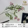 Nuevo Estilo de Rama Única Flor de Sophora de 3 Pétalos Flor Artificial Adornos de Decoración para Sala de Estar Jarrón Seda Accesorios para Fotografía de Bodas Venta al por Mayor