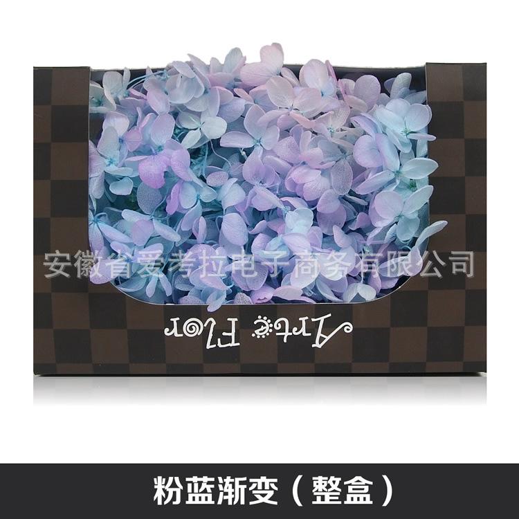 蓝粉.jpg