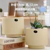Maceta de cerámica de una pieza para el cabello, extragrande, ligera, de lujo, estilo Ins, de alta calidad, para el hogar, con flores carnosas de Phalaenopsis.