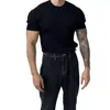 Camisa de Tricô Popular Europeia Transfronteiriça Plus Size de Manga Curta para Homens, Cor Sólida, Adequada para Usar sob um Terno, Camiseta de Seda Gelo para o Verão, Atacado de Fábrica