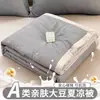 Colcha de Verão Refrescante de Soja Classe A, Colcha com Ar Condicionado, Colcha Fina de Verão para Dormitório Estudantil, Núcleo de Colcha de Verão de Algodão Lavável para Uma Pessoa, Lavável à Máquina
