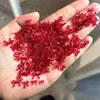Arte de Uñas Recorte Mini Lazo Joyería Popular Resina Francesa Estéreo Blanco Rojo Lazo Decoración de Uñas