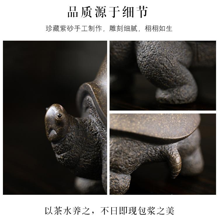古铜泥大将军龟 (31).jpg