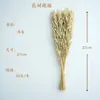 Comida para hámsteres grano lecho para mascotas mijo trigo avena comida para mascotas cáscaras de grano amarillo decoración de nido para mascotas comida para hámsteres