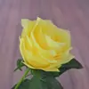 Flor Artificial de Alta Venta Tallo Único Decoración de Boda Planta para Paisajismo de Jardín Regalo de San Valentín Accesorio para Fotografía de Bodas Flor Rosa