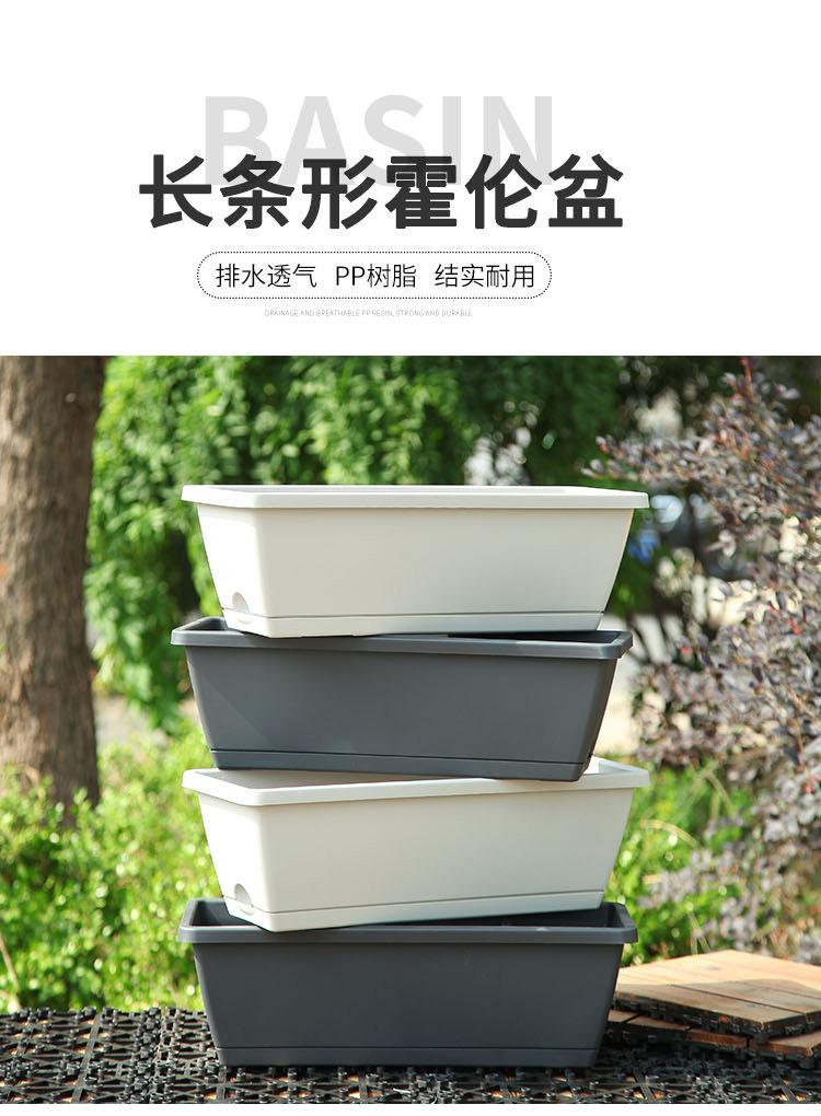 长盆_01