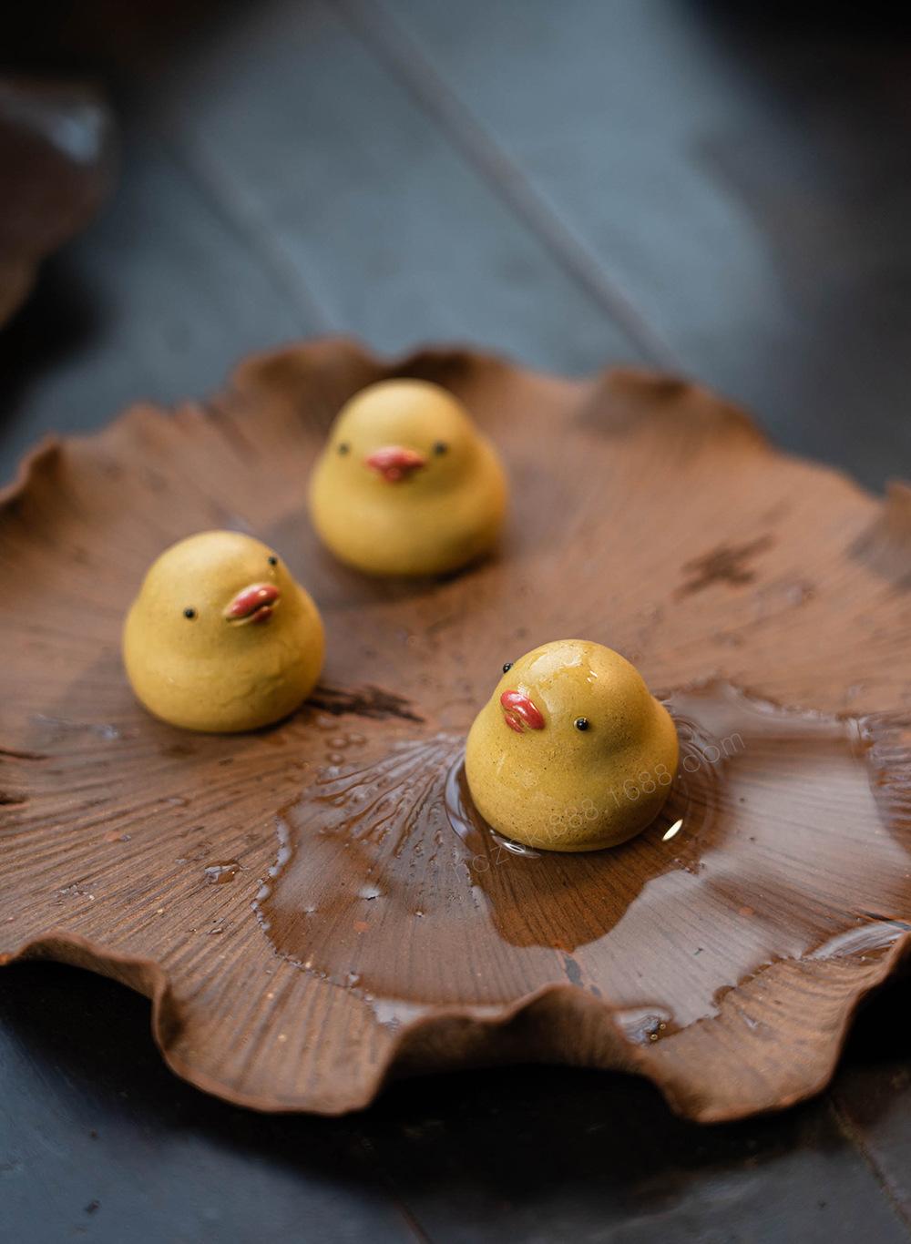 小鸭子 20220626 (8).jpg