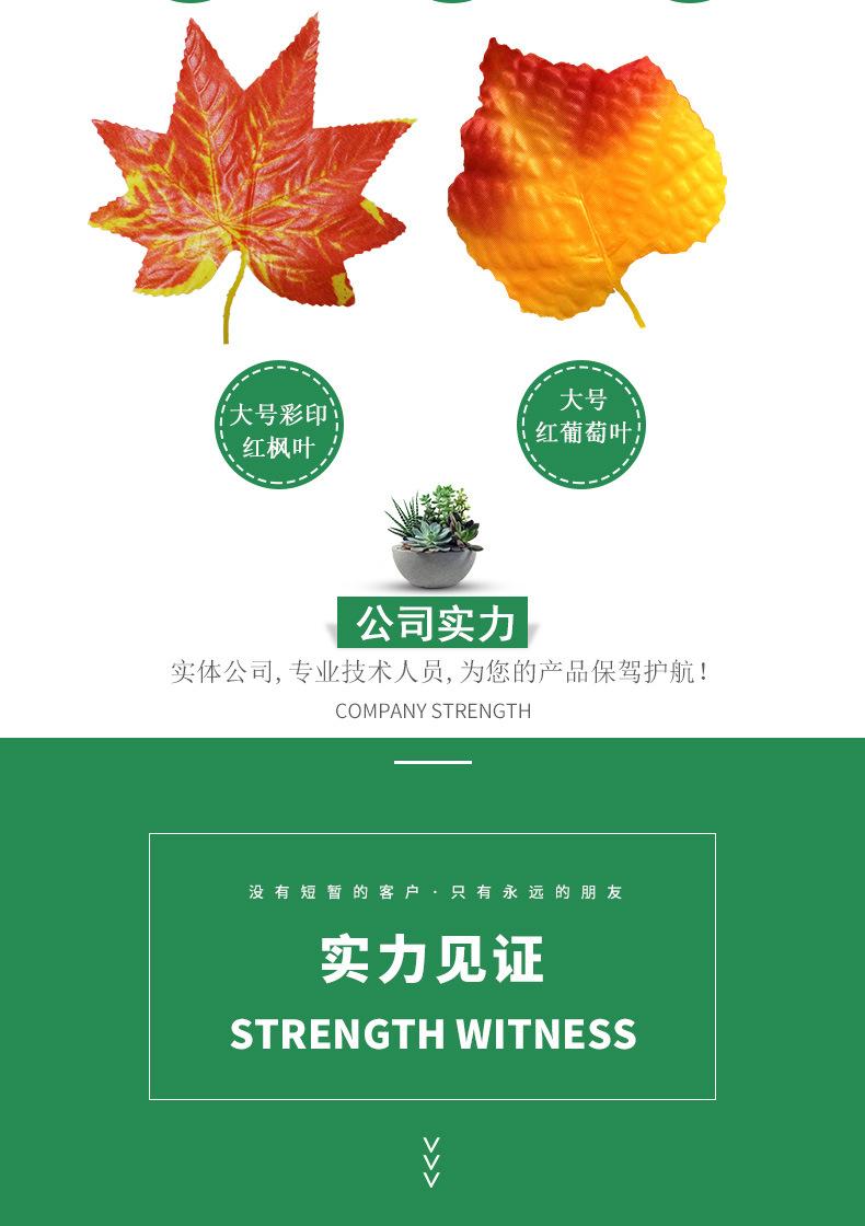混合仿真枫叶_03.jpg