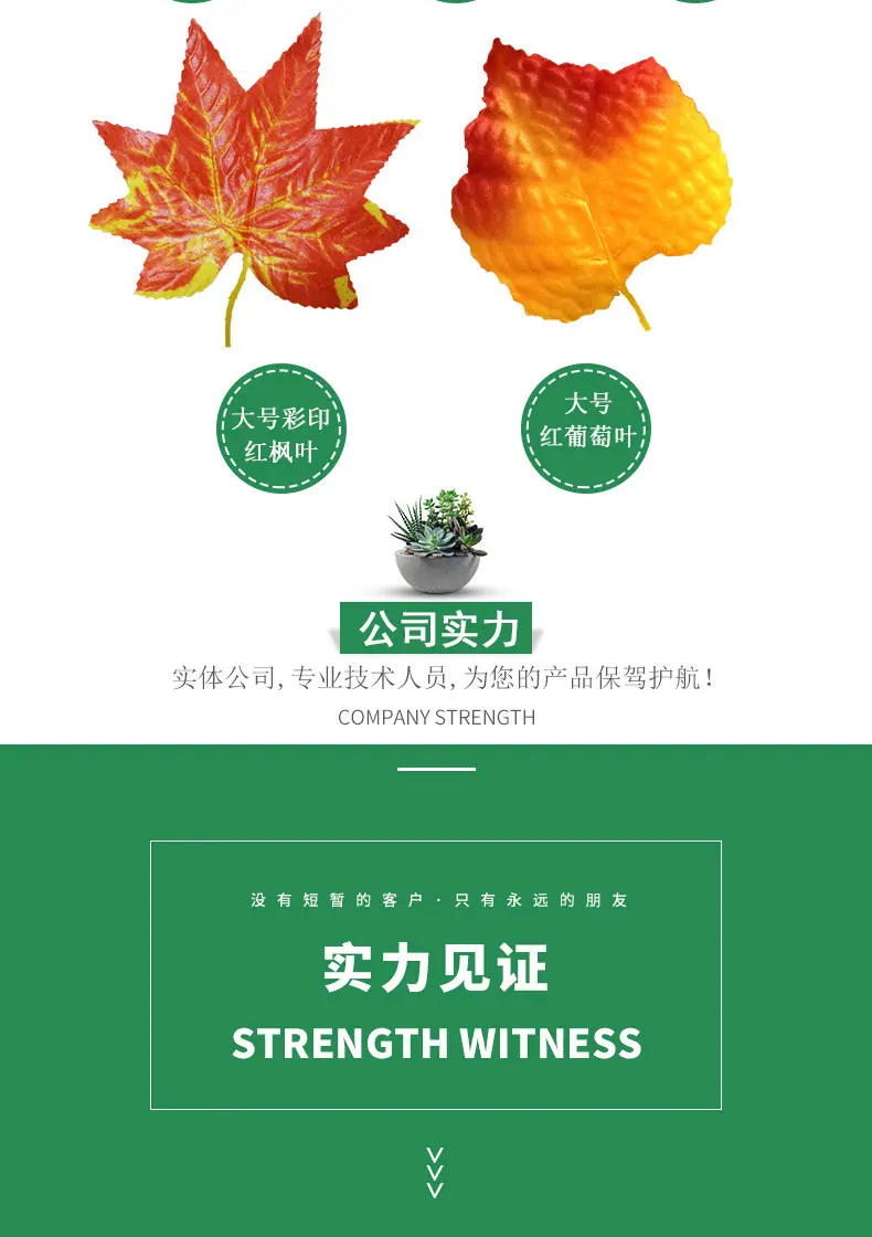 混合仿真枫叶_03.jpg