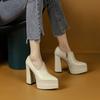 Zapatos de tacón alto de plataforma impermeables de moda estilo europeo y americano para mujer, nuevos para primavera, verano y otoño, con punta y tacón grueso, cómodos y que no cansan los pies