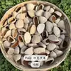 Planta cáscara de fruta material DIY accesorios hechos a mano panji fruta negra campanilla de viento nicho indonesio terapia de sonido de meditación otro cuero no